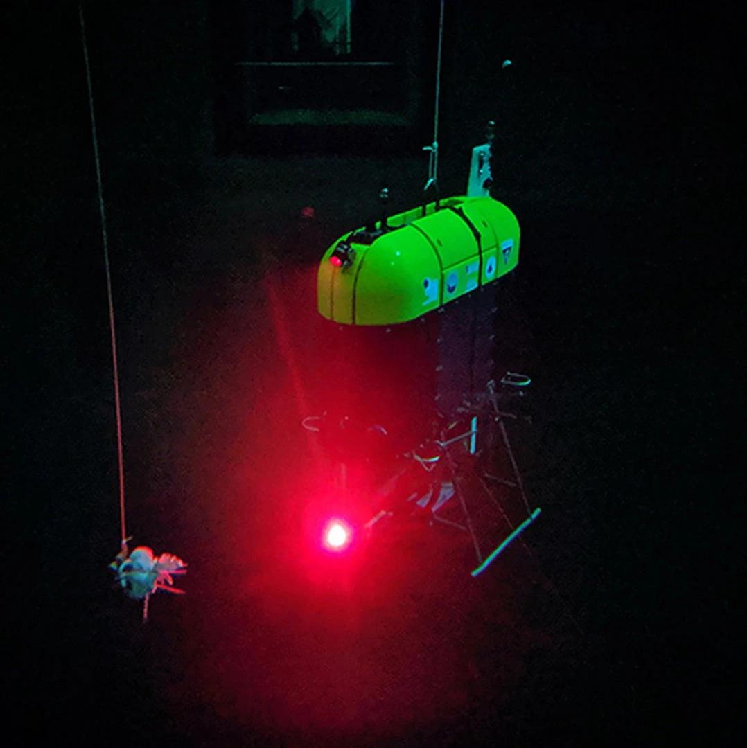Mesobot tracking a simulated marine animal (white object on string) in MBARI’s test tank