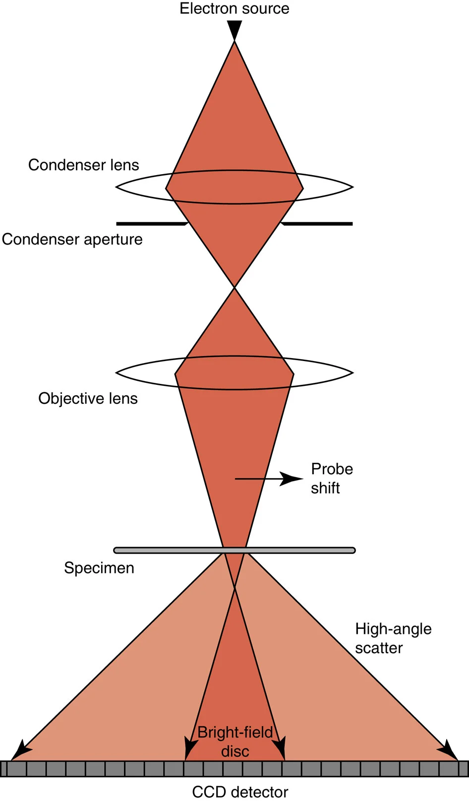 Schematic of a lens-less electron microscope (Image: University of Sheffield)