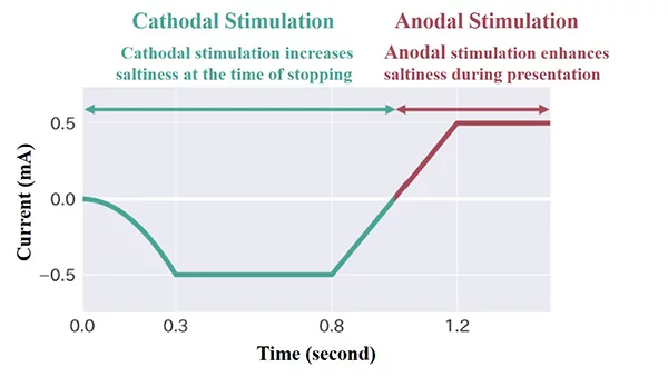 A negative current boosts saltiness when it's stopped, and a positive one boosts it just as the food is "presented"