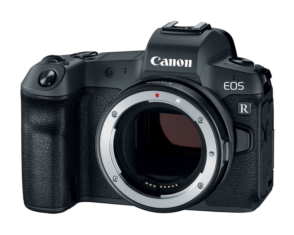 The EOS R has a 30.2 megapixel CMOS sensor and is compatible with current EF, EF-S, TS-E and MP-E lenses with the addition of mount adapters