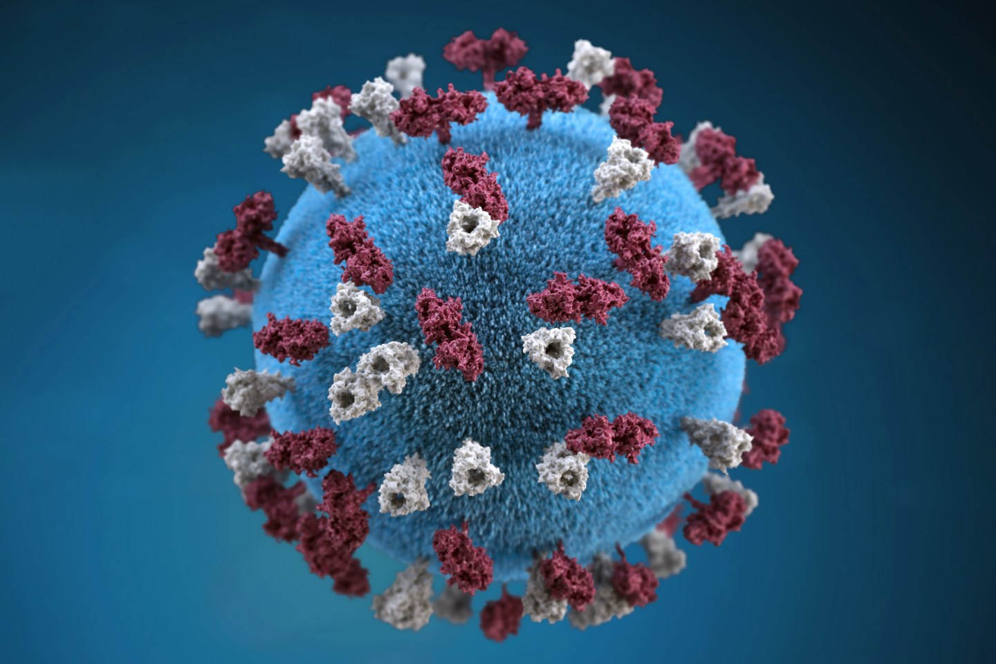 A 3D graphic representation of a measles virus particle, showing hemagglutinin proteins (maroon) and fusion proteins (gray)
