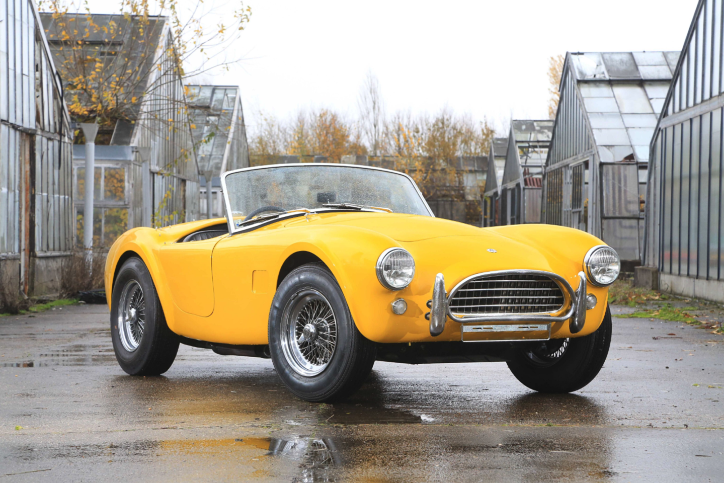 1965 AC Cobra 289 roadster
