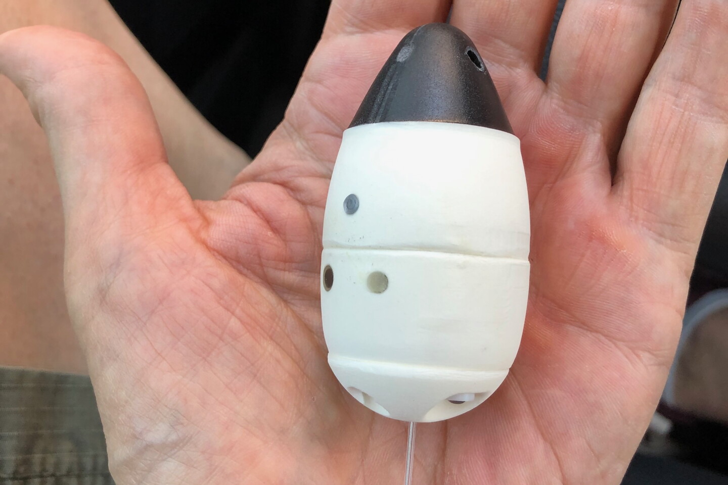 One of the BAT prototypes - its flexible antenna (bottom) points to the sky when the device floats on water