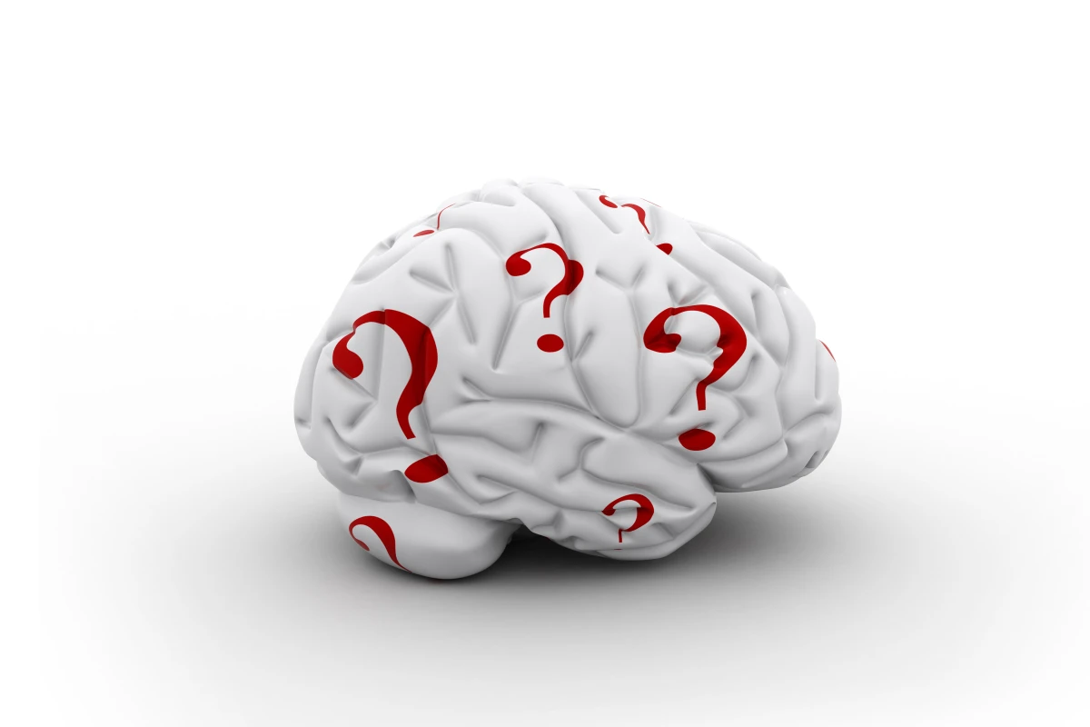 Swedish researchers have created a computer program that can score 150 on standard non-verbal IQ test questions (Image: Shutterstock)