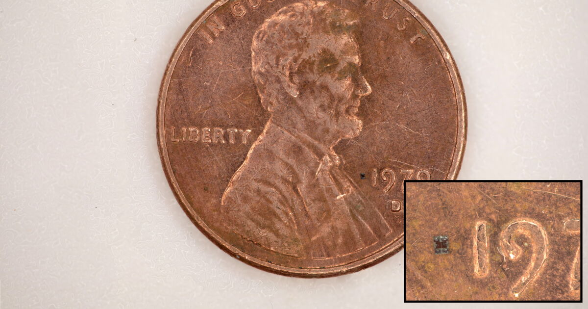 World’s smallest autonomous robots could save lives World’s smallest autonomous robots could save lives