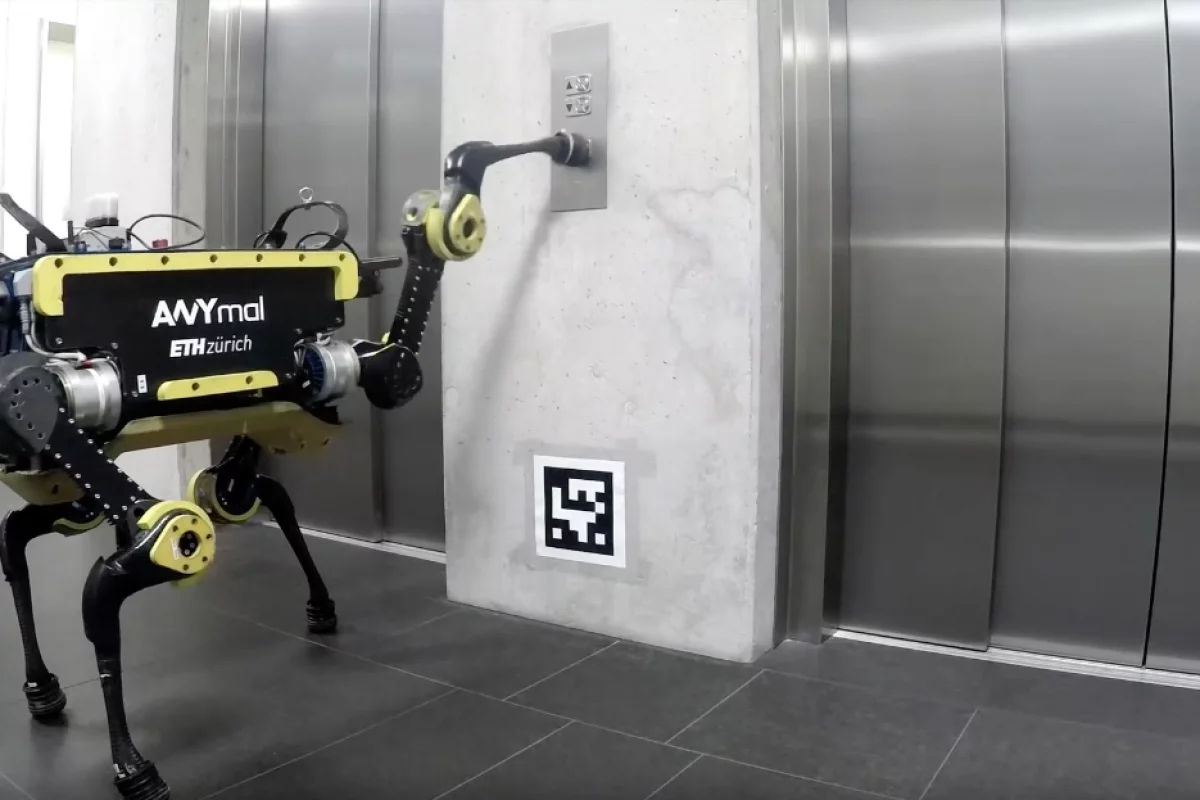 Anymal is a quadrupedal robot that can now use an elevator, meaning there is nowhere to run if it turns on its human owners