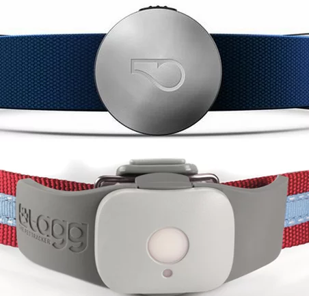 Whistle and Tagg next to each other