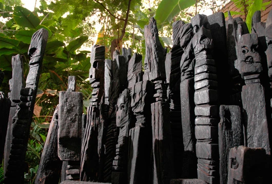Inside the Rainforest Biome(Image by Eden Project)
