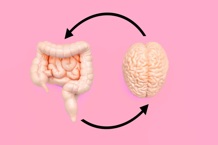 The study unlocks more evidence of how weight gain and changes in the gut drive negative mental health outcomes
