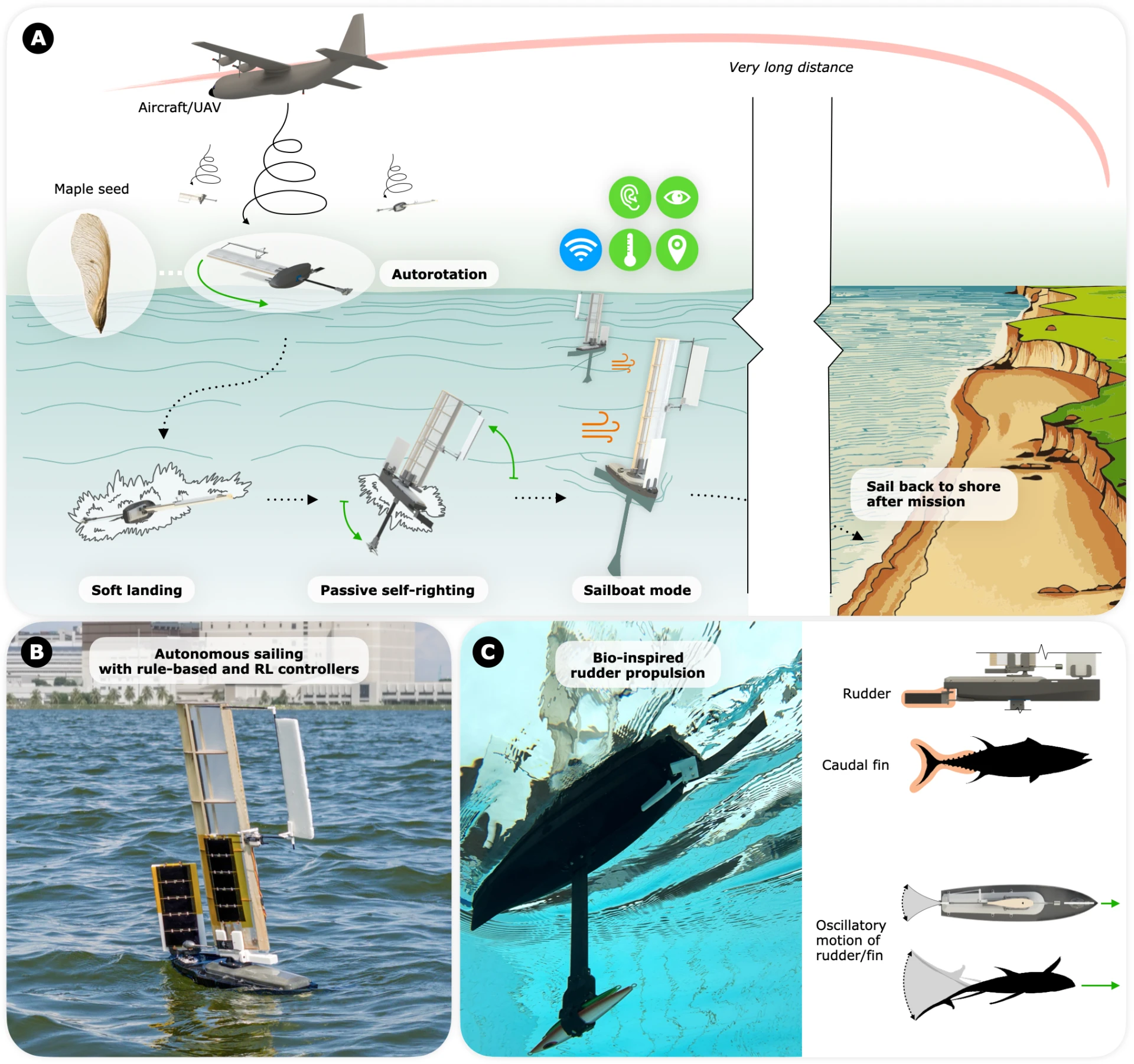 Escenario de despliegue de ALBATROSS