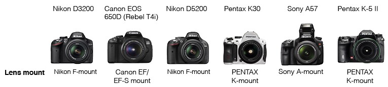 entry and mid range dslr comparison