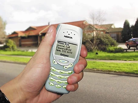 Centre pic and above - instead of simply printingbrochures, this florist builta database and now sends anSMS message prior to ValentinesDay to remind her clients to getsome flowers for their partner.