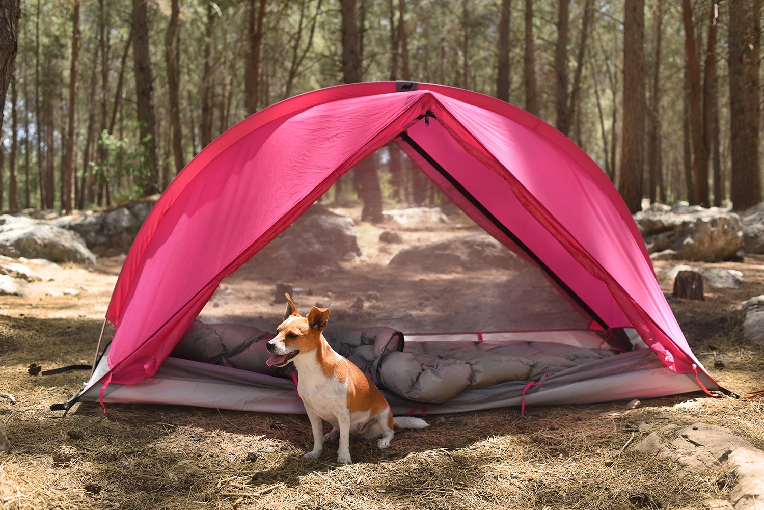 The RhinoWolf includes the tent, sleeping pad and quilt