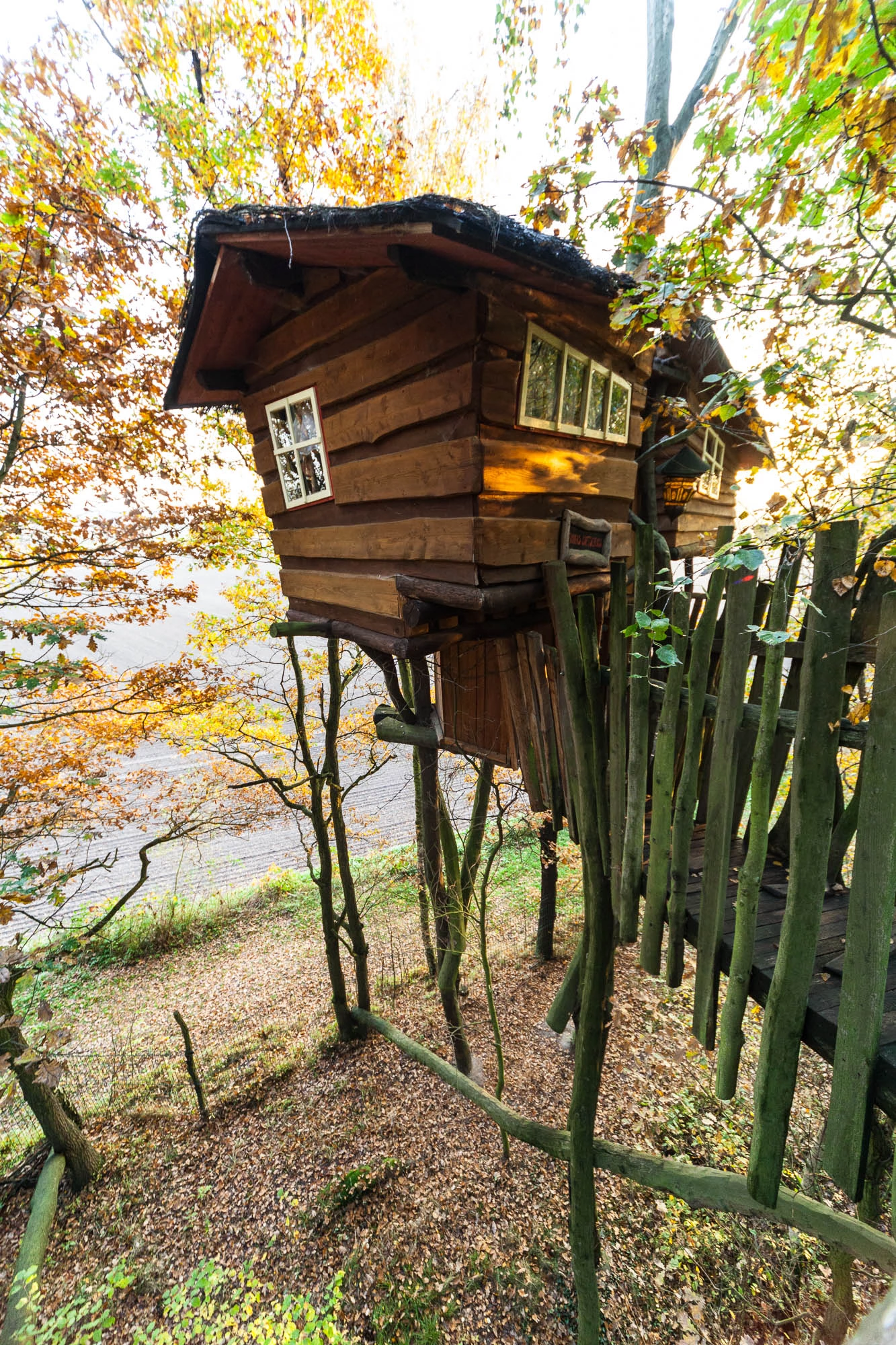 Kulturinsel Einsiedel: the treehouse hotel