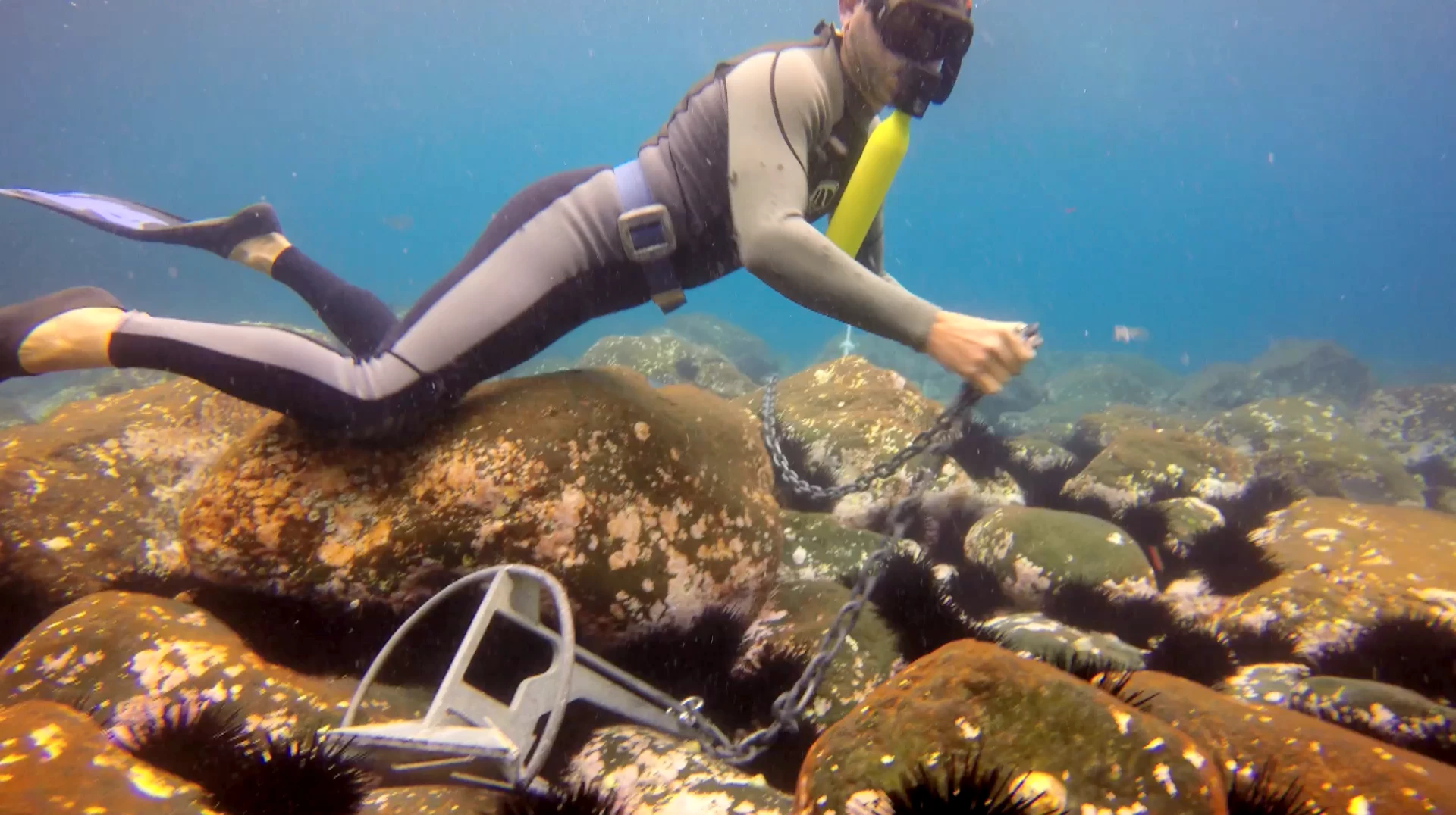 The Scorkl is a lightweight compact breathing device that enables you to breathe underwater for up to 10 minutes. If you don't have a compressor to recharge the $200 Scorkl, there's a $200 high pressure pump so you can fill it yourself.