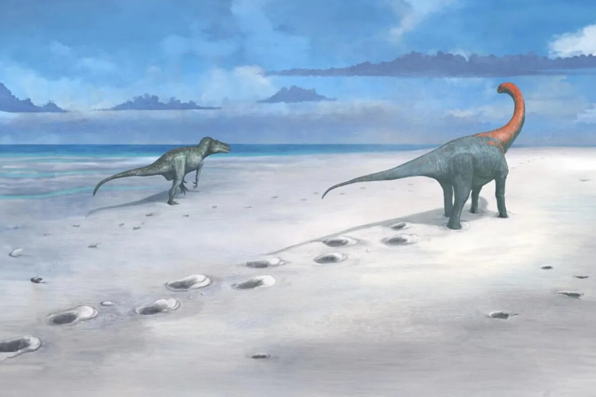 200 dinosaur footprints dating back 166 million years found in the UK