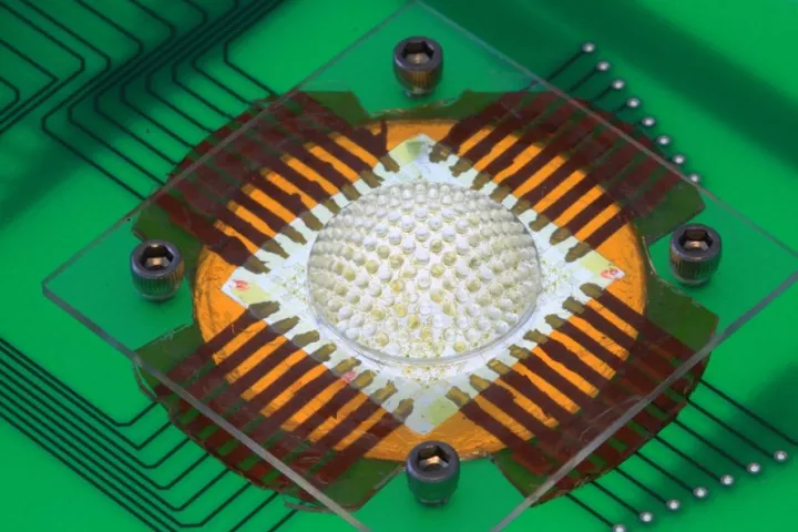 Scientists have copied the structure of insect eyes to create a 180-degree hemispherical camera