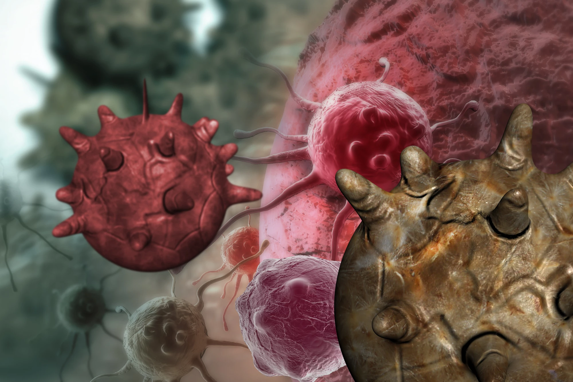 A new study has found that a way to reactivate the protein p53, which is known as the “guardian of the genome”