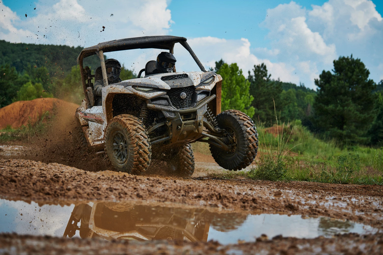 Rolling in the mud