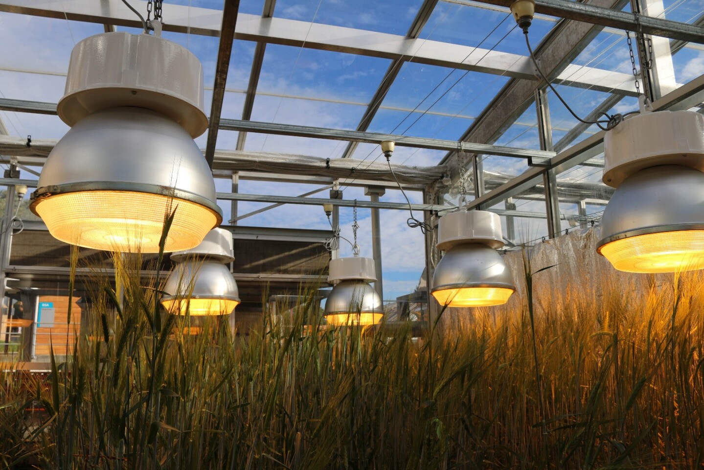 Our planet is expected to host an extra two billion people by 2050, but the amount of arable land we've got to work with won't be changing all that much