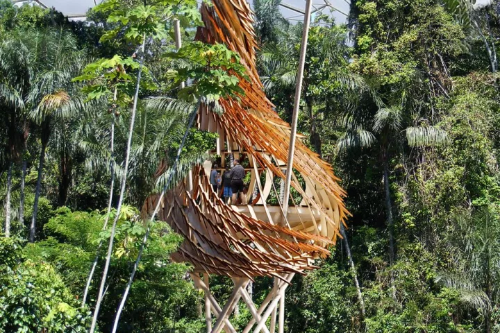 UK architectural firm Blue Forest has revealed its plans to build a large nest-like treehouse within the Eden Project’s Humid Tropics Biome