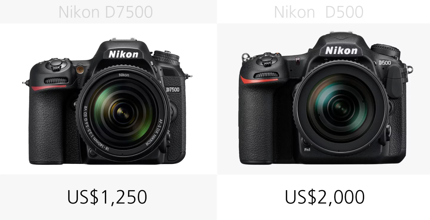 The price of the Nikon D7500 and Nikon D500 compared