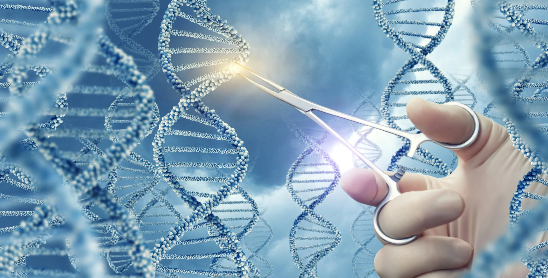 One of the first CRISPR human trials in the United States has been paused by the FDA before it had even begun