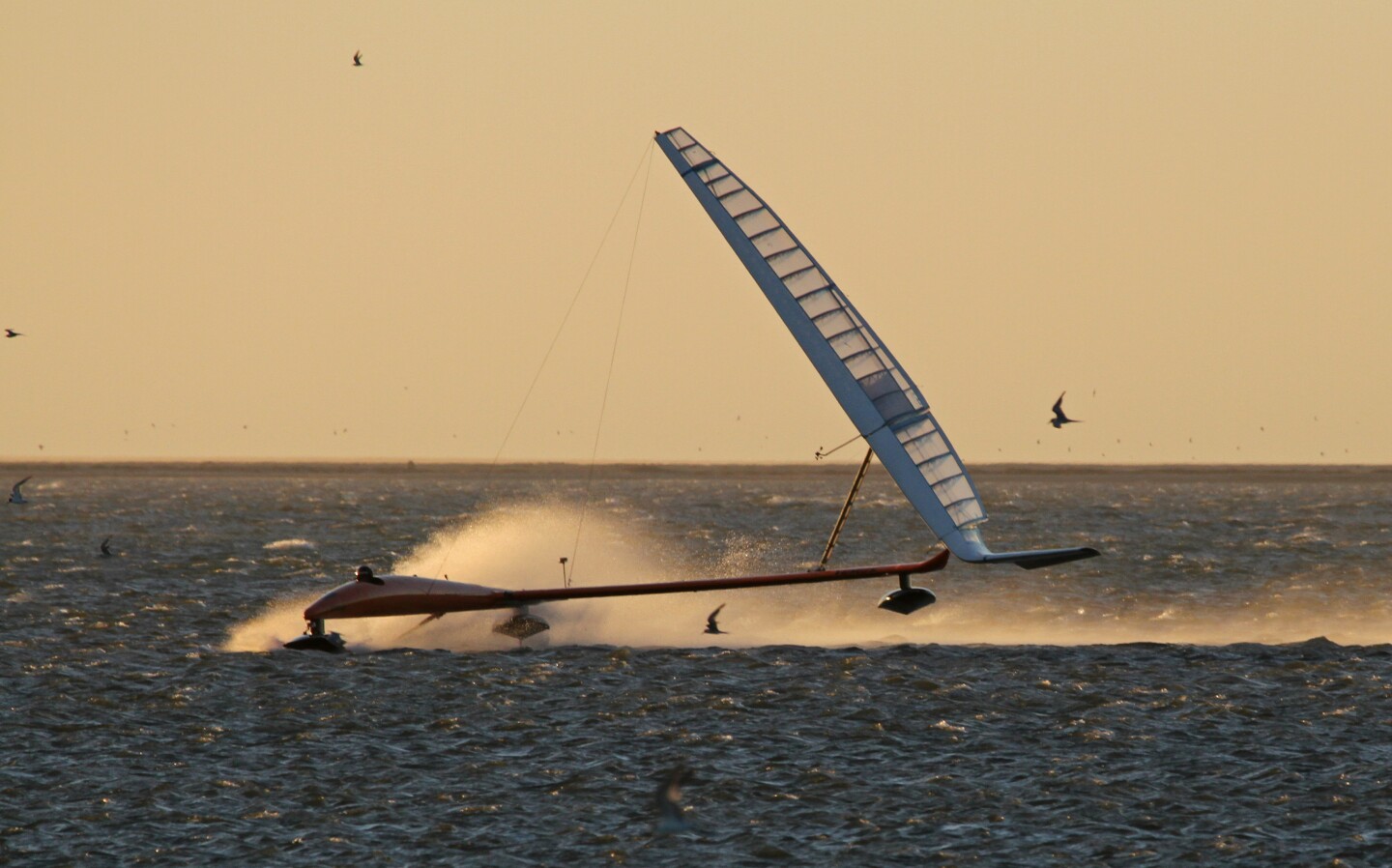Larsen and the Vestas Sailrocket at high speed. Image copyright Helena Darvelid and Vestas Sailrocket.