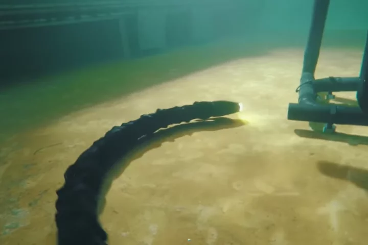 It is hoped that the Eelume robot can carry much of the workload for those performing subsea inspections