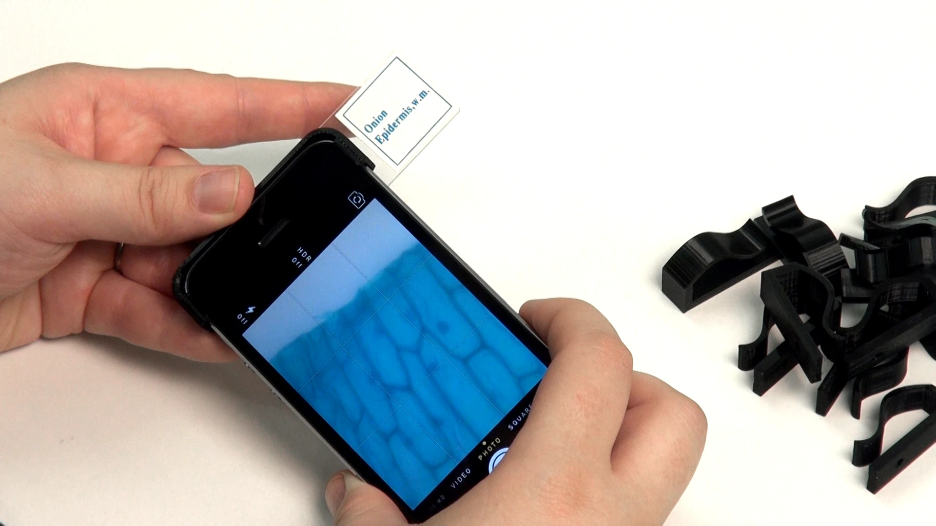 Educational uses of the device could include imaging items such as onion skin
