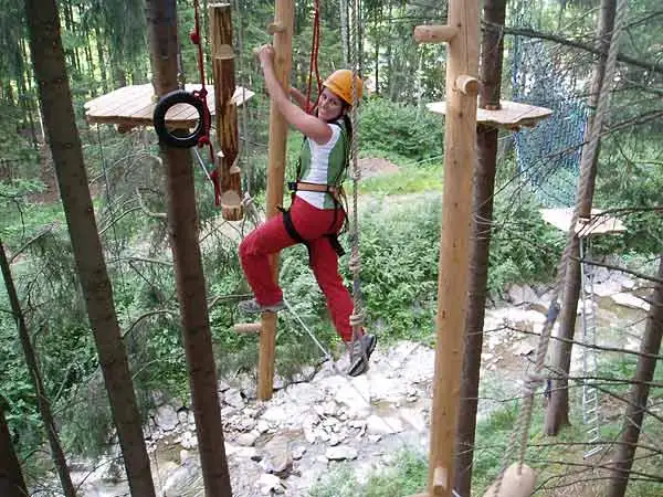 Tree rope course at Waldseilgarten (Photo: Waldseilgarten)