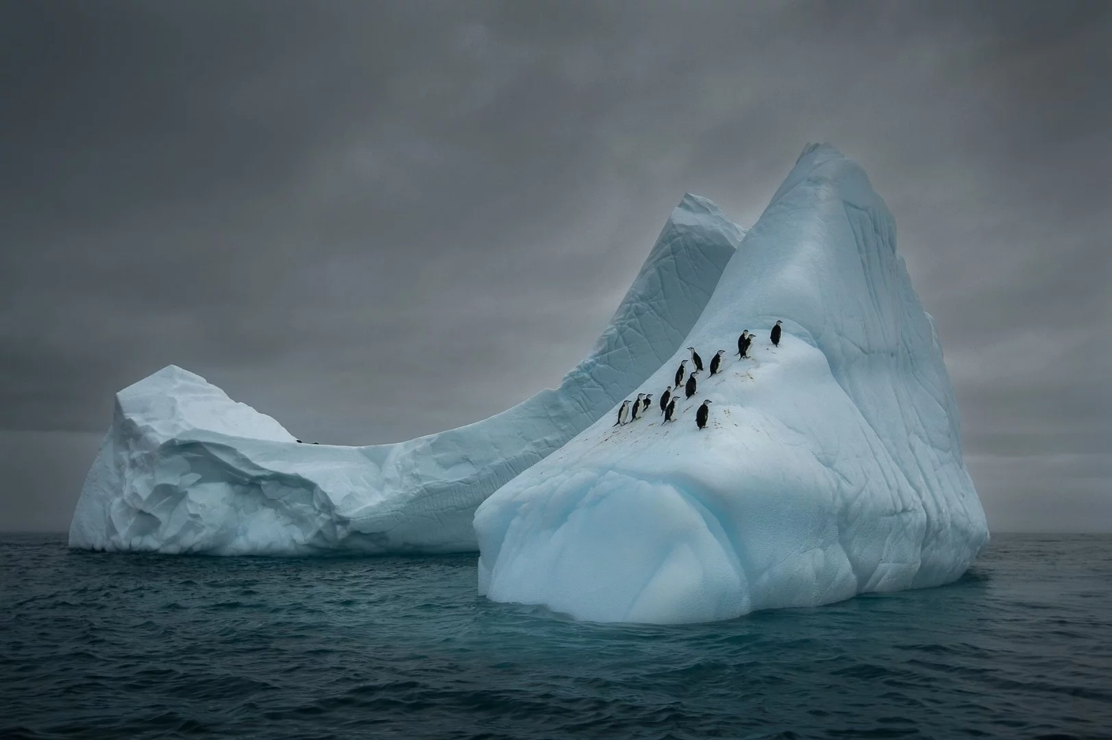 Third Place in The Beauty of Nature. A group of Chinstrap Penguins (Pygoscelis Antarctica) is resting on an iceberg