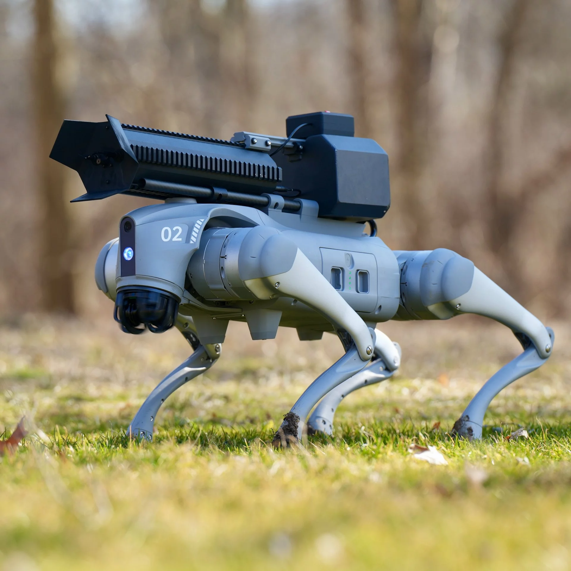 Looking dangerous: Throwflame's heavily modified robo-dog is available for "wildfire control and prevention, agricultural management, ecological conservation, snow and ice removal, and entertainment and SFX" - though the company also welcomes enquiries from the defense and givernment agencies