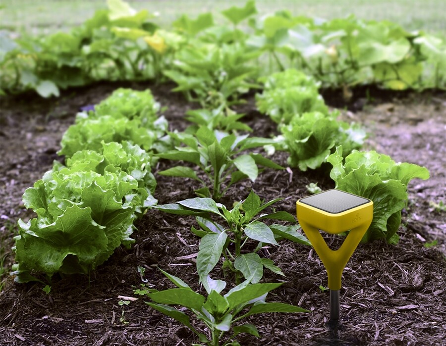 The Edyn Sensor measures temperature, humidity, light intensity and soil electrical conductivity
