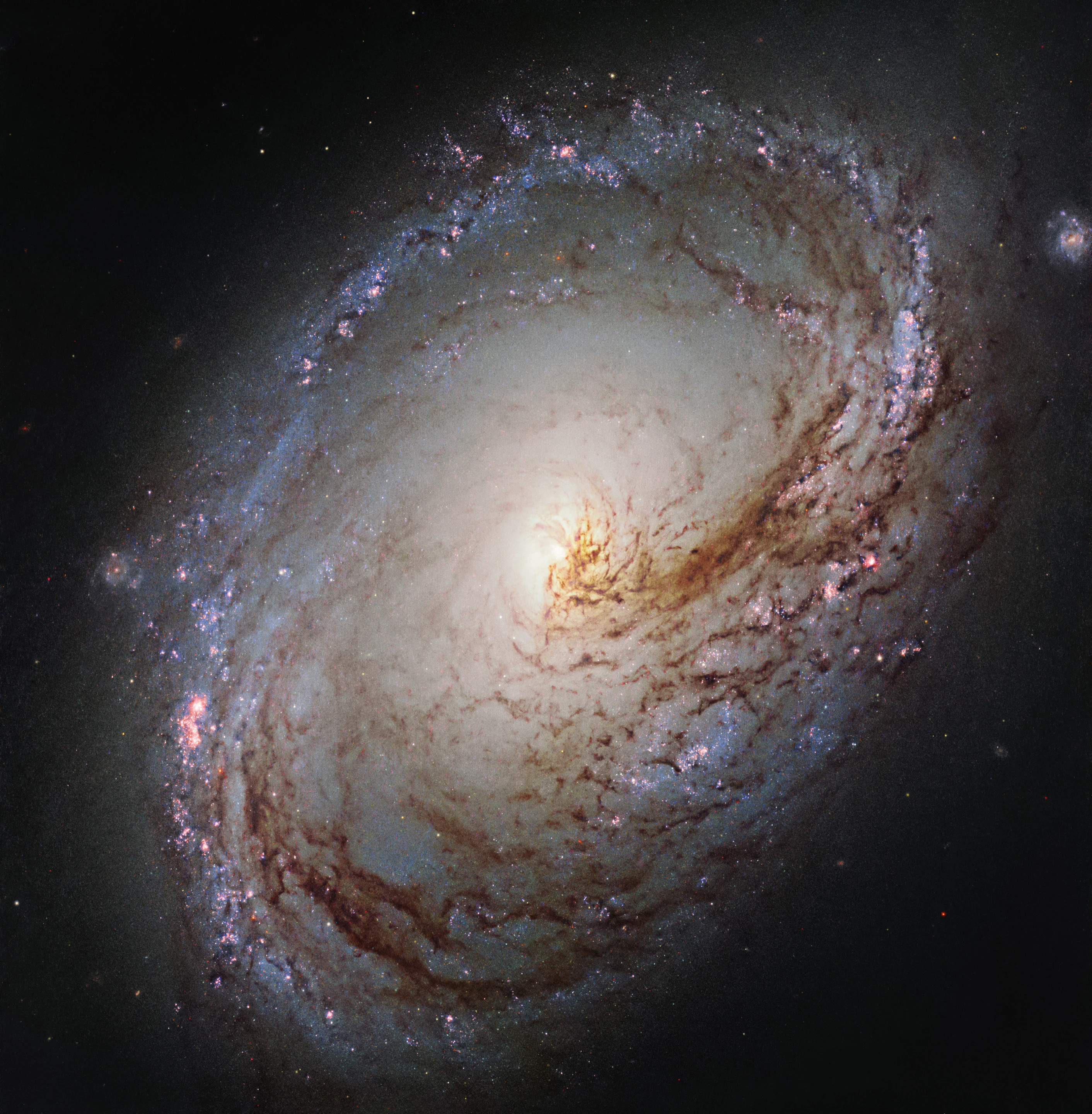 Infrared and visible light image of the spiral galaxy M96, which is located some 35 million light-years from Earth