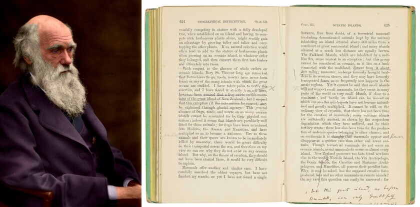 One of the many spectacular lots which went to auction in the last week of the auction year was the long-lost copy of Darwin's sheets of the third edition of his landmark book, complete with his autograph revisions. No other example of Darwin's autograph revisions to the text of this important work have ever been offered publicly, so it is no surprise that they sold for more than $1 million. Check out our listing of the The most valuable scientific documents of all-time and you will see how very few scientific manuscripts have ever broached the million dollar mark. The final sale price of Darwin's autograph correction was £788,750 (US$1,054,086)