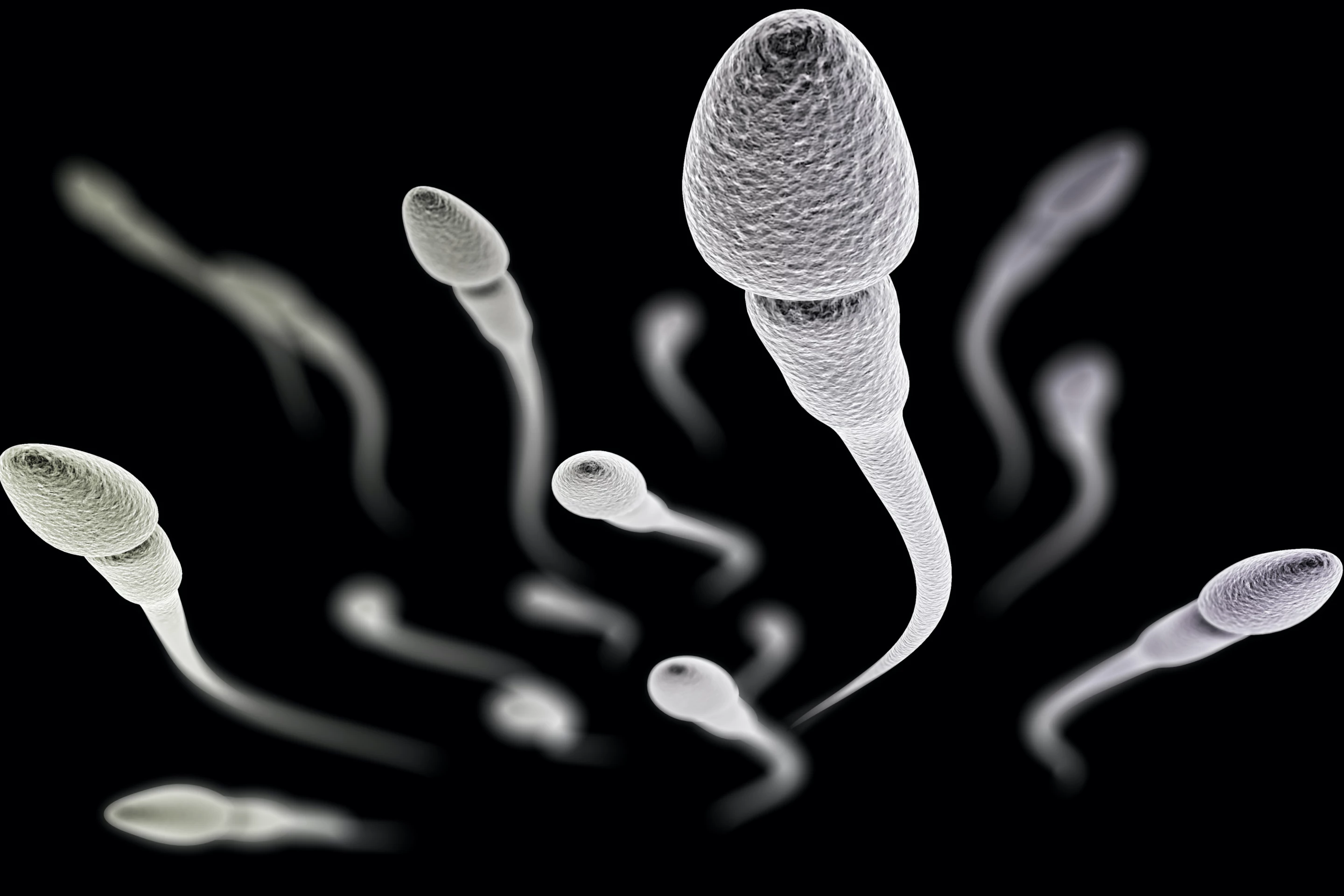 When heated via an alternating magnetic field, the nanoparticles lowered the sperm count in male mice for one week