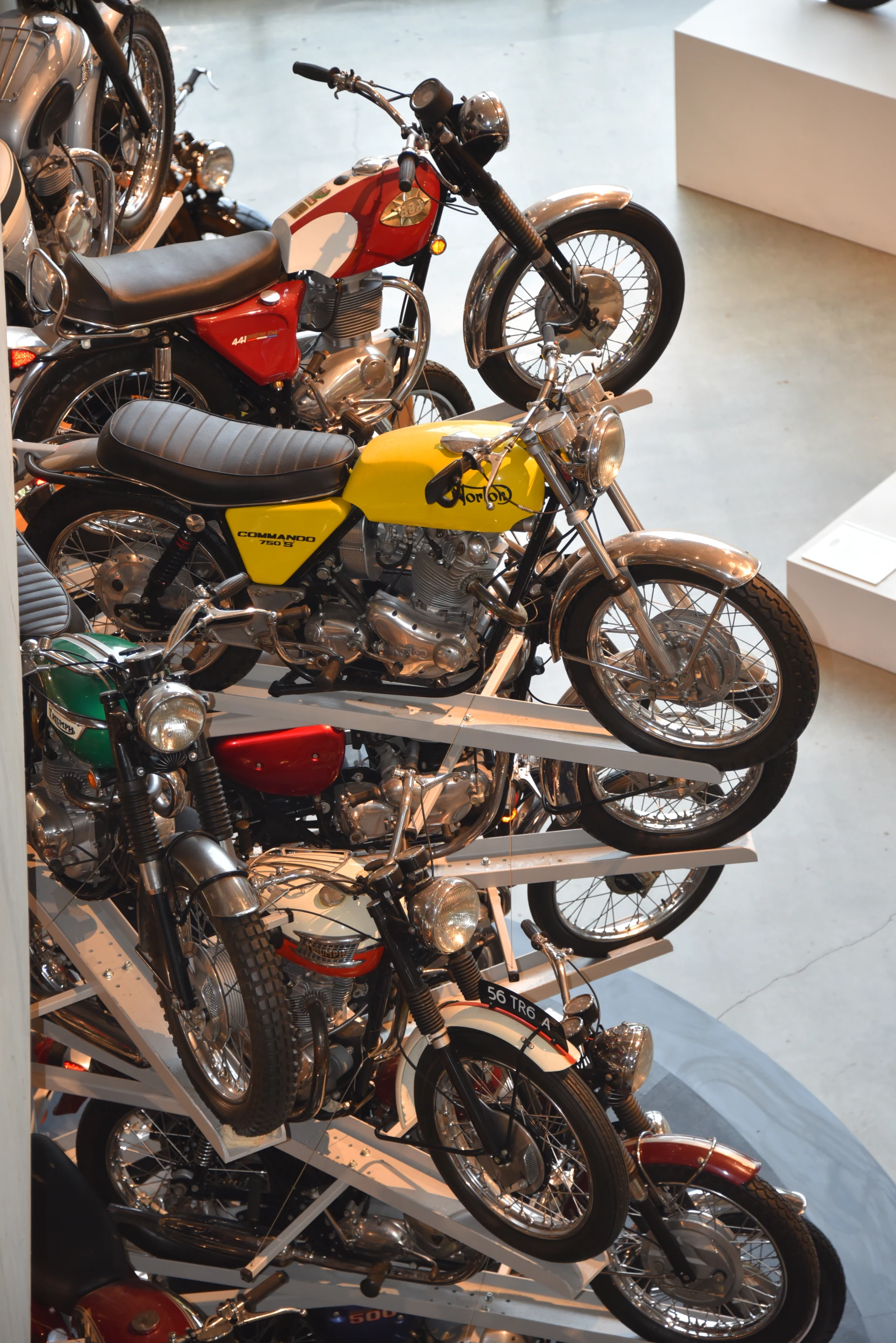 The Motorcycle tree