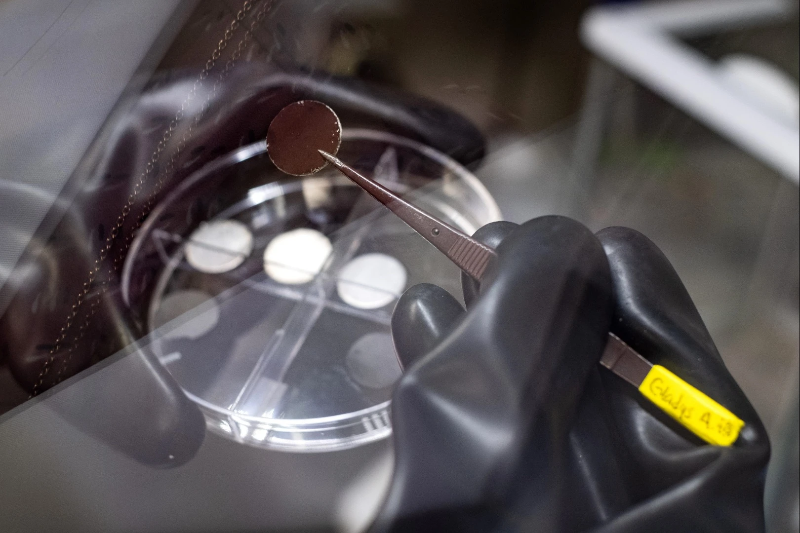 The battery breakthrough centers on a new kind of anode coated in a nanotube film