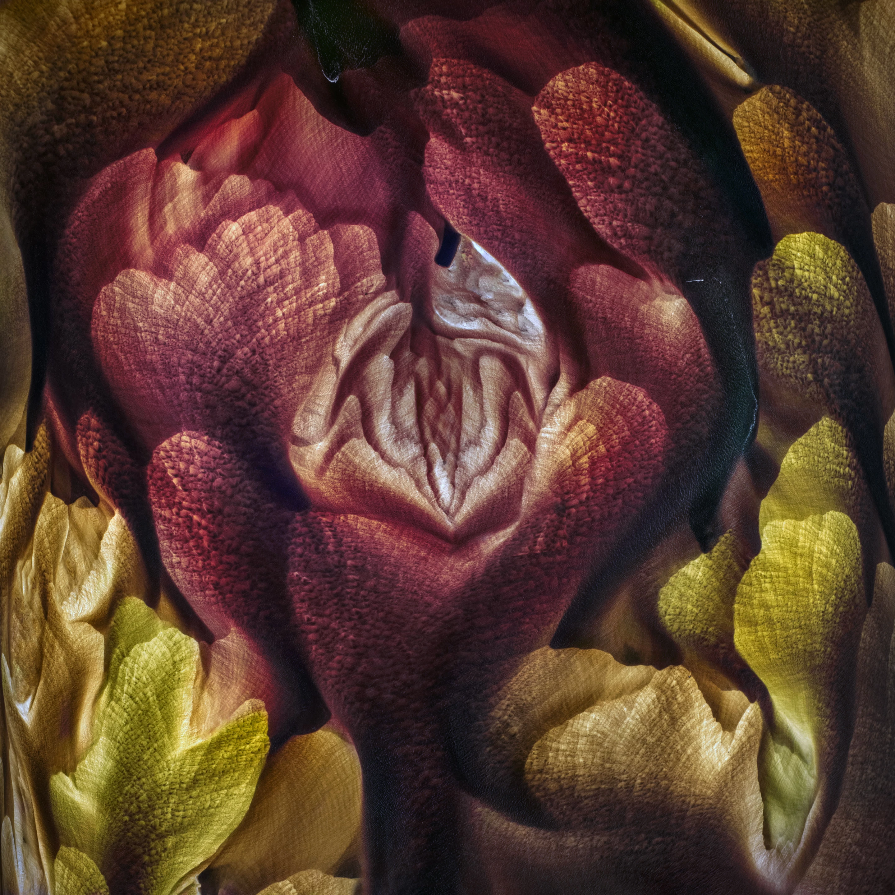 Winner of the Abstract Aerial Award