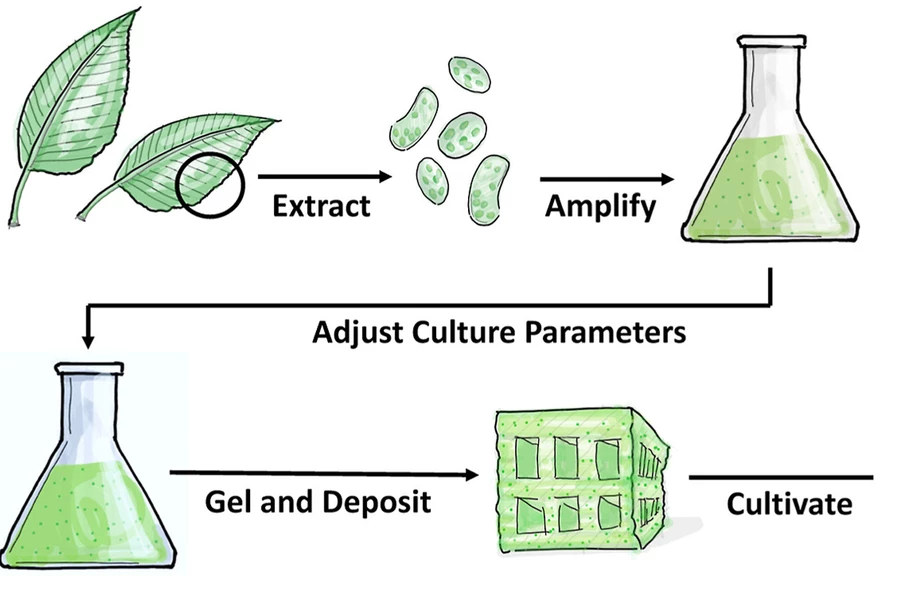 A diagram of the process