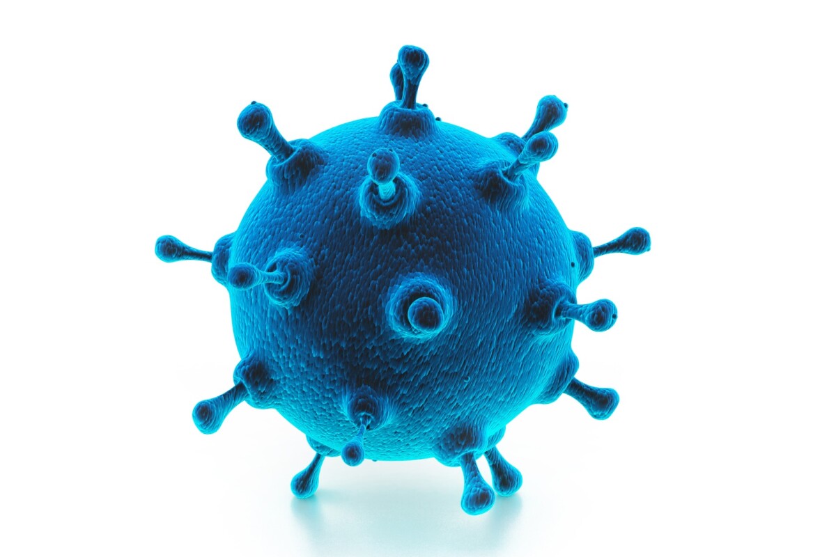 To provide wider protection, the researchers skipped the head of the proteins and aimed for the stalks instead
