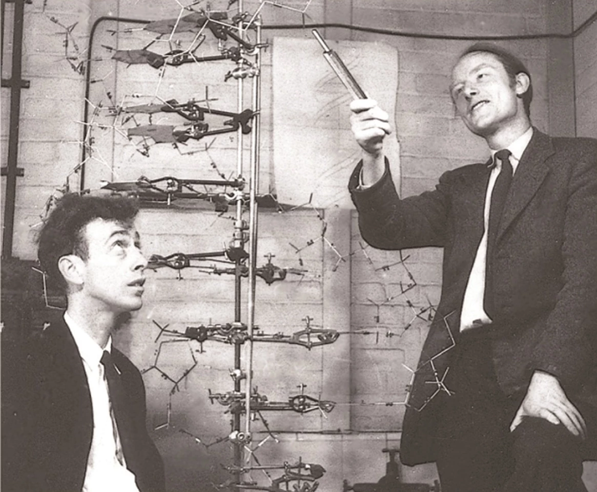 Nobel Prize Medallions were once considered the embodiment of a monumental contribution to mankind, but of little monetary value. That was until Francis Crick's Nobel Prize for the discovery of the structure of DNA crossed the auction block in April 2013. The Nobel Prize medal won by Crick (alongside James Watson and Maurice Wilkins - that's Crick holding court above with a young James Watson watching on), sold at Heritage Auctions in April, 2013 for $2,270,500, fifty times more than any prior Nobel Prize medal had fetched. That price was then doubled 20 months later when Christie's sold James Watson's medal for $4,757,000 in December, 2014.