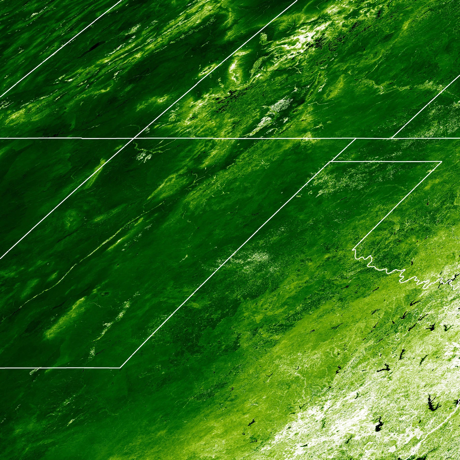 Satellite image using what is known as the Enhanced Vegetation Index (EVI) to show plant cover in June 2004 in the U.S (Image: Philip Dennison, University of Utah)