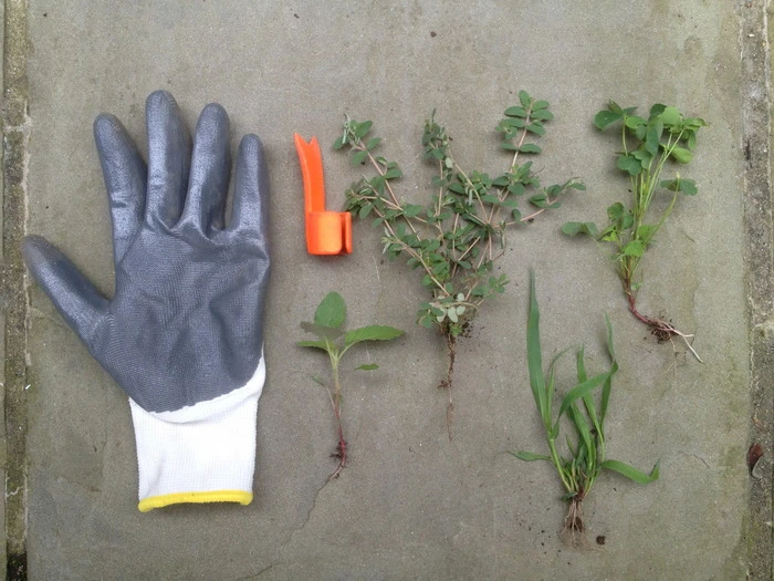 The Ring Weeder and a pile of weeds pulled out from the roots
