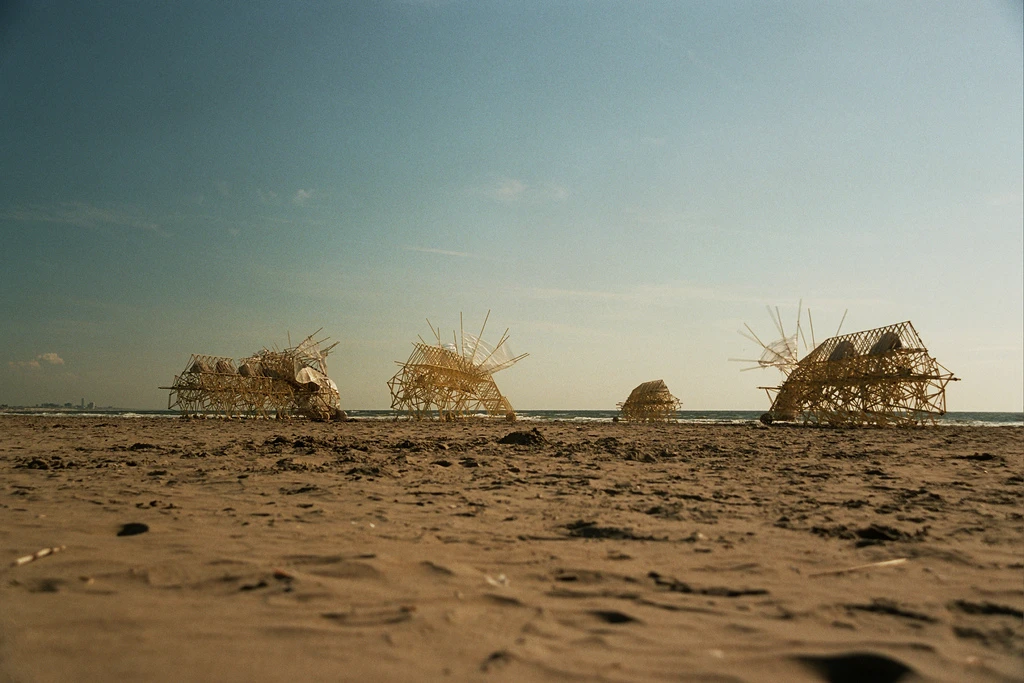 A herd of the Animaris Percipiere (Photo: Theo Jansen)