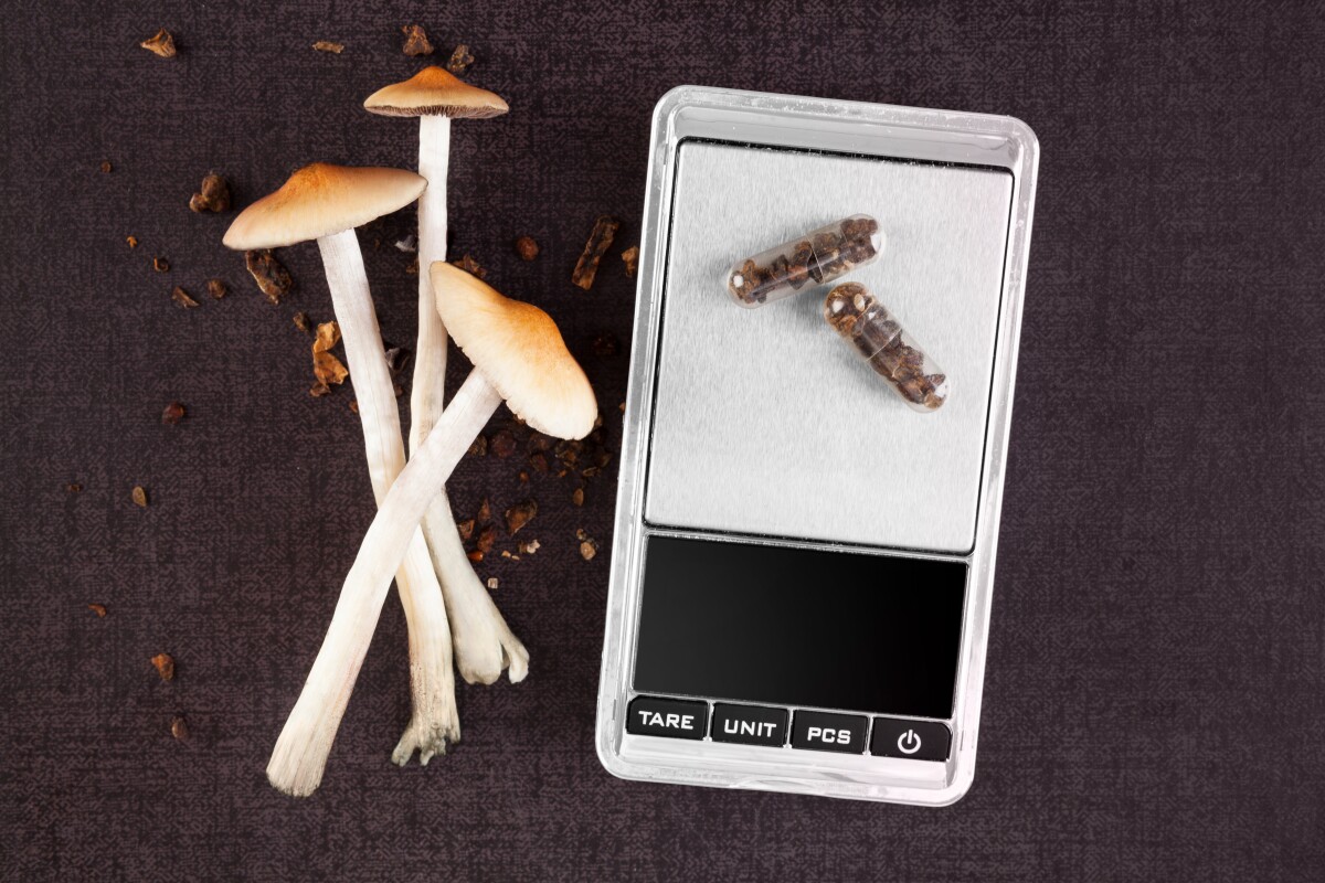 A trial found no differences across a number of tests between those taking psilocybin microdoses for three weeks and those taking a placebo