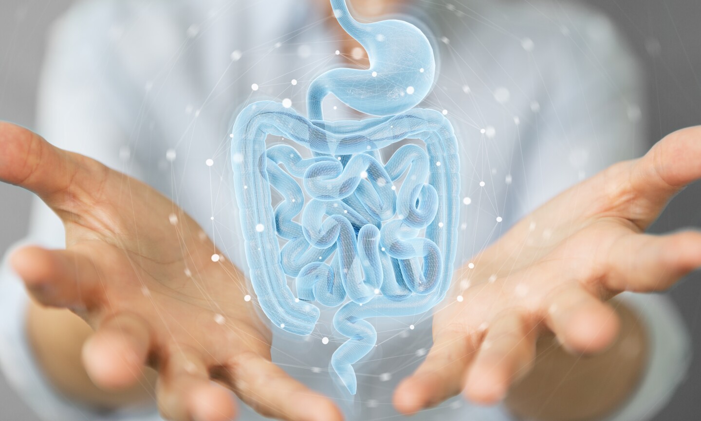Scientists have described a subset of immune cells that play a key role in bowel health