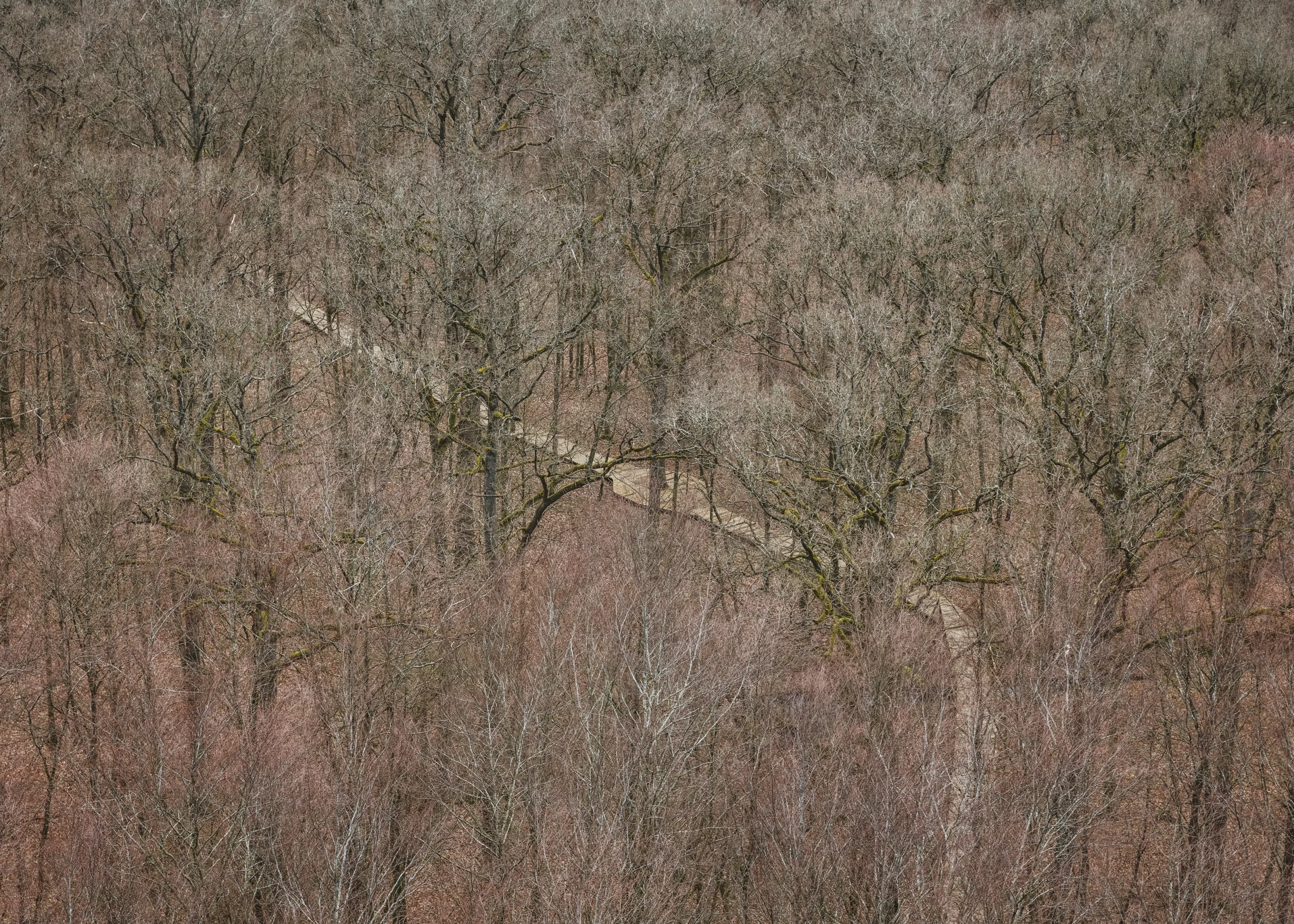 Top-down view of the pathway leading to the Camp Adventure Tower