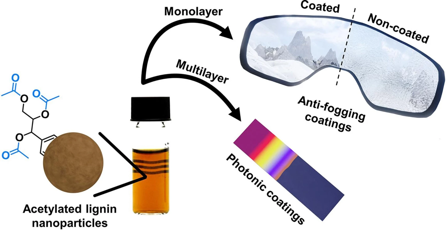 The quick and simple acetylation method creates lignin that can be used in different ways